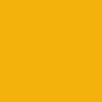 Blank Gold Jersey Swatch