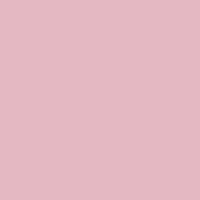 Blank Pink Jersey Swatch